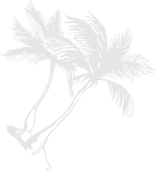 The Tripkart