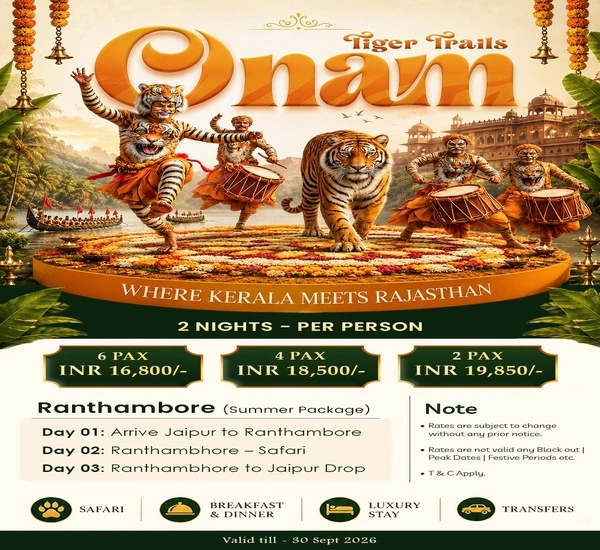 Ranthambore Safari 
